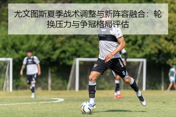 you-wen-tu-si-xia-ji-zhan-shu-tiao-zheng-yu-xin-zhen-rong-rong-he-lun-huan-ya-li-yu-zheng-guan-ge-ju-ping-gu-2-255.jpg